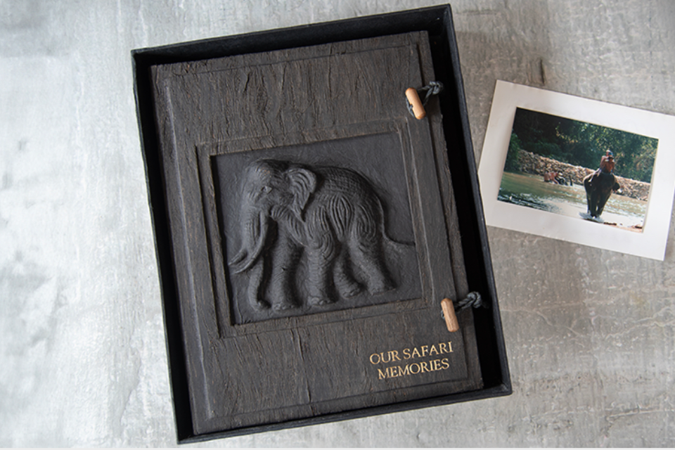 Personalised Safari Album