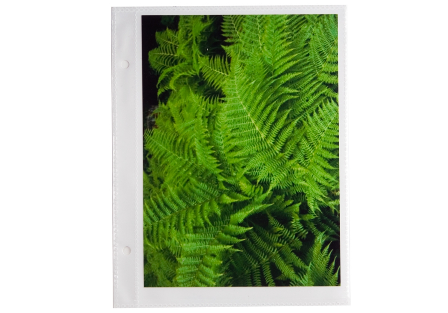 Archiva Photo Album Pages