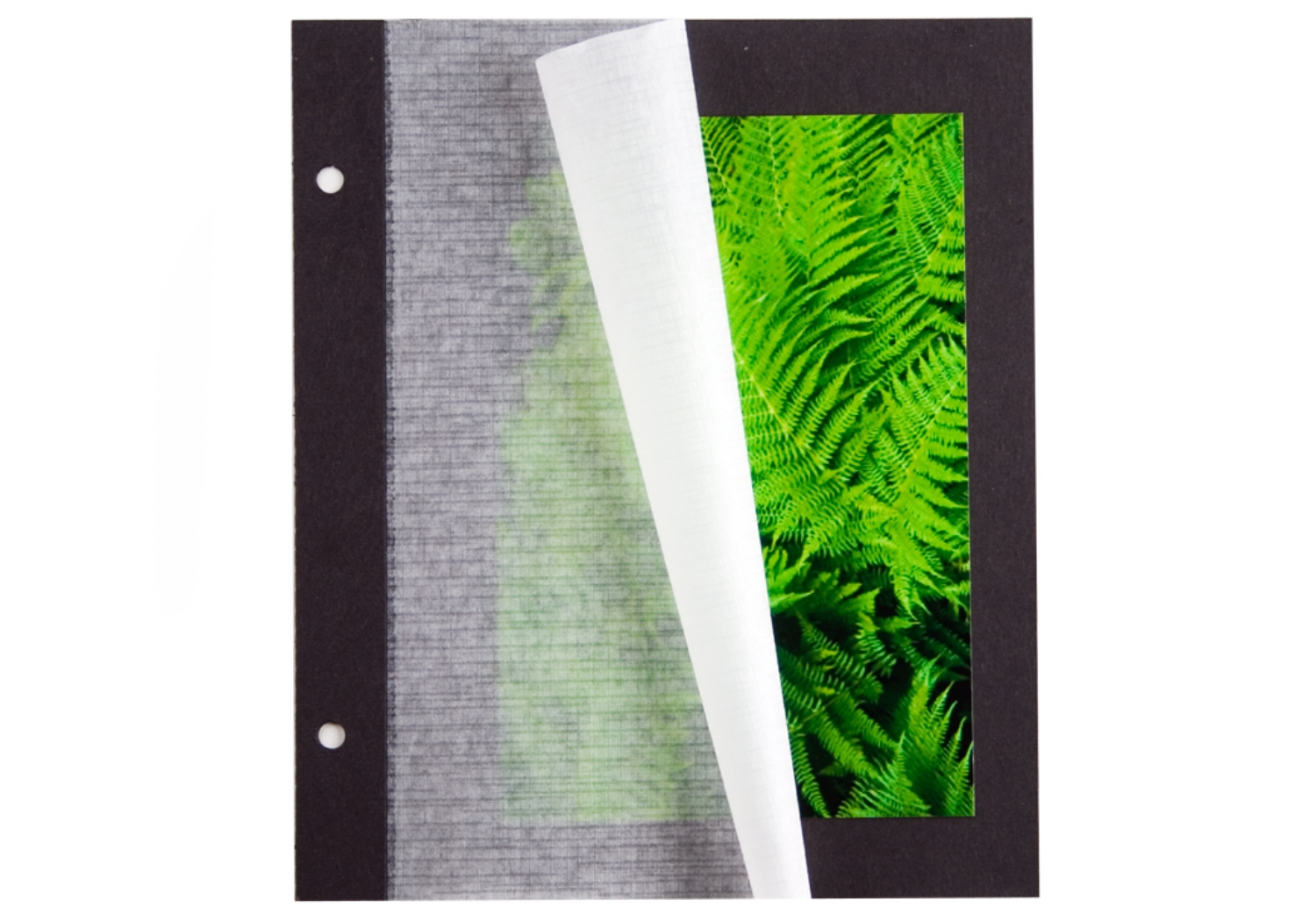 Archiva Photo Album Pages