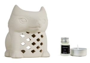 Fox Oil Burner