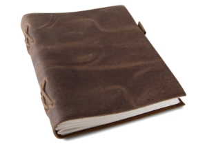 Enya Journal