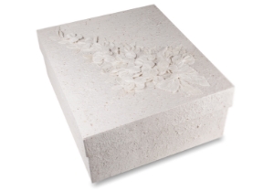 Archiva Storage Box