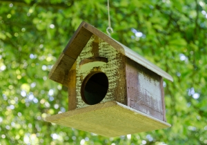 Rustic Beach Bird House