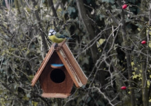 Rustic Beach Bird House